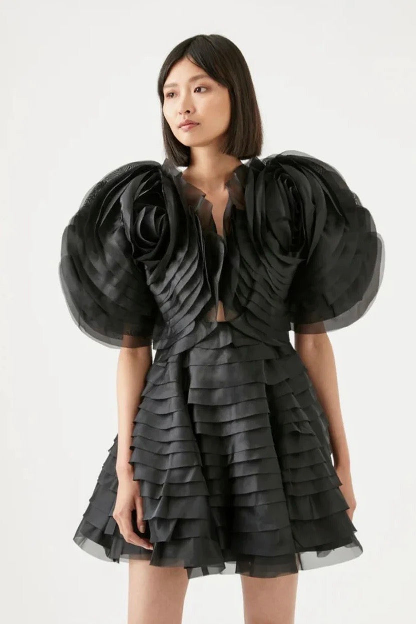 the rae dress