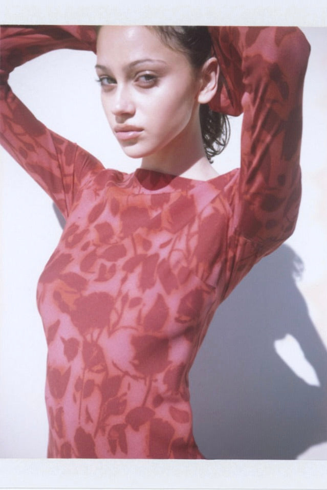 the dolce dress