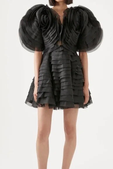 the rae dress