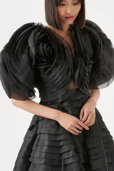 the rae dress