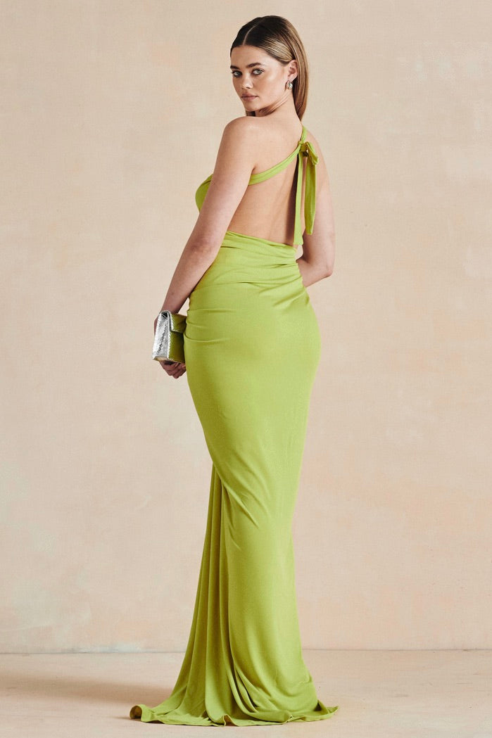 the disa gown