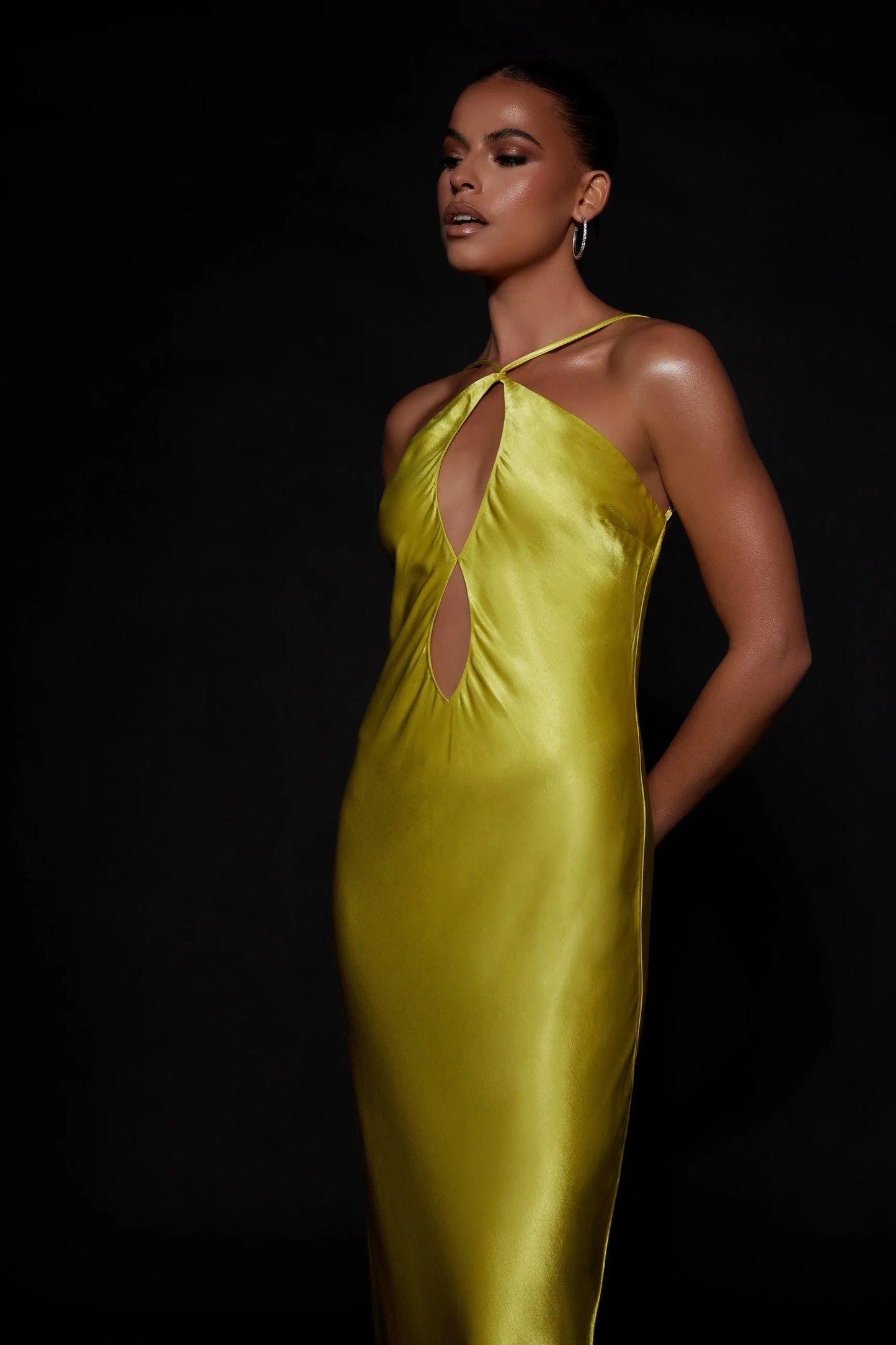 the vega dress in gold